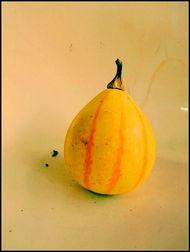 新沂吃瓜大白妈,大白妈的趣味生活点滴