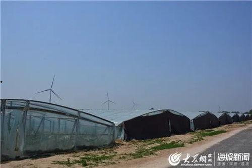 阳信吃瓜,揭秘网络热点的背后真相