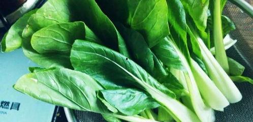 吃瓜大青菜,揭秘娱乐圈的“绿色”秘密