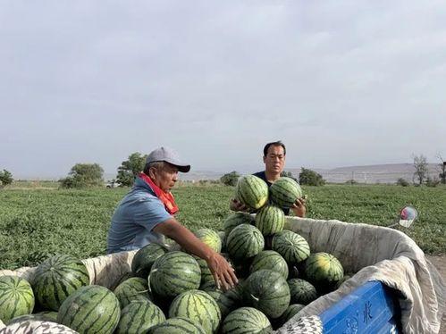 隆林吃瓜,探寻地方特色美食，共享吃瓜乐趣