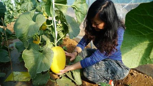 瓜姐带你吃瓜,瓜姐带你领略娱乐圈的甜蜜与苦涩