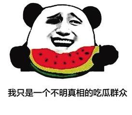 网络语吃瓜群众