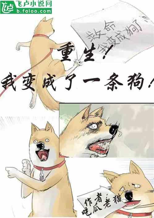 看瓜吃瓜小说在线阅读,小说世界里的瓜田奇遇