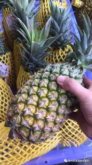 湖州老师吃瓜,揭秘校园八卦背后的真相