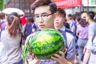 学生日常吃瓜,揭秘学生日常饮食背后的秘密