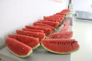 幼恩吃瓜,揭秘童言无忌中的趣味世界