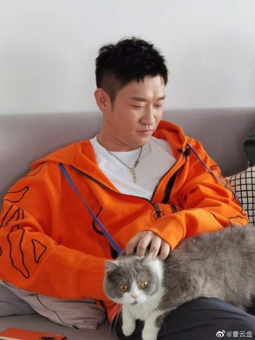 吃瓜表情包德云社,笑料横生的喜剧盛宴