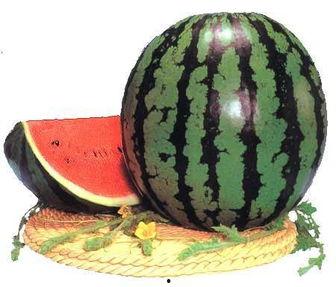 王健宇吃瓜,揭秘娱乐圈幕后真相