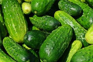 梦见老乡吃瓜,老乡吃瓜的温馨记忆