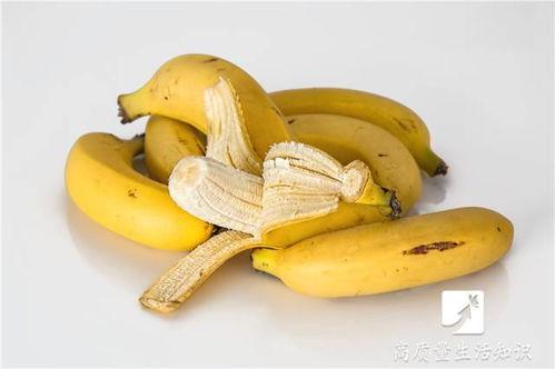 梦见老乡吃瓜,老乡吃瓜的温馨记忆