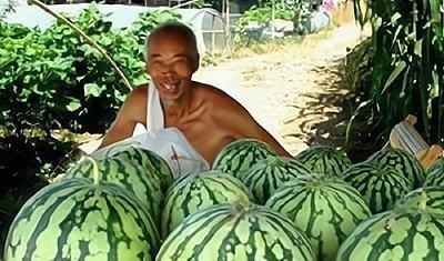 吃瓜陌生人,揭秘吃瓜群众背后的神秘人生