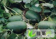 51吃瓜河北邯郸,揭秘河北邯郸的那些事儿