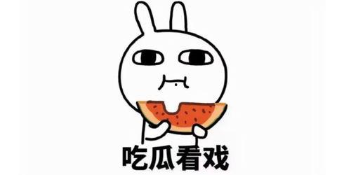 qq吃瓜狗血群,揭秘网络社交背后的情感漩涡