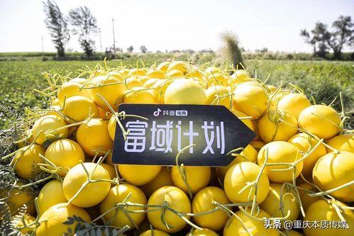 抖音ucsb吃瓜,抖音“吃瓜”事件揭秘