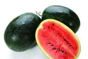 保定定兴吃瓜,保定特色美食之旅