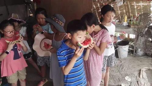 吃瓜群众内心着急,揭秘吃瓜群众心急如焚的等待时刻