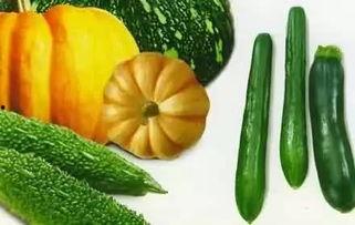 砀山昨晚吃瓜详情