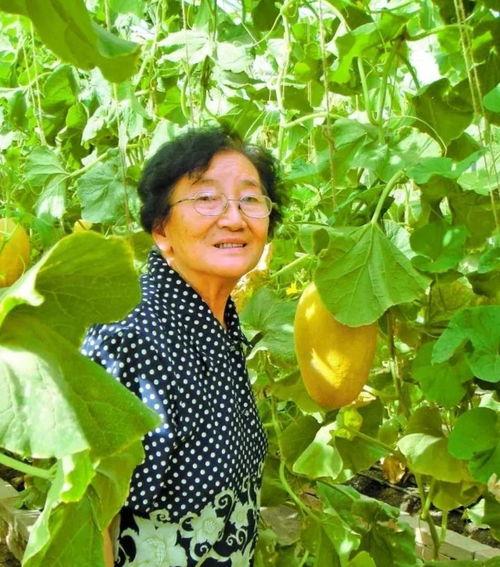 林葵吃瓜,揭秘娱乐圈幕后故事