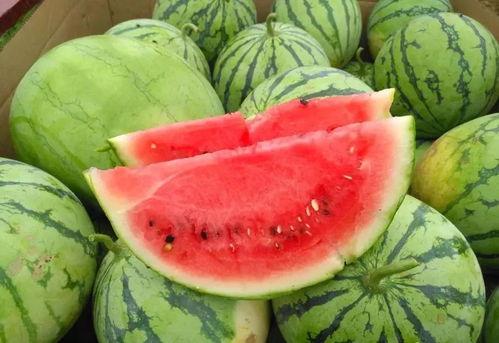 博雅小鱼海棠吃瓜