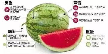 微信分享吃瓜,微信吃瓜热潮背后的故事