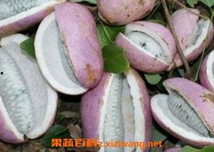 八月瓜只能新鲜吃吗图片,不止新鲜美味，探索其多样食用方式”