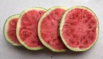 终于可以回家吃瓜,畅享家乡美味瓜果时光