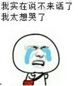 终于可以回家吃瓜,畅享家乡美味瓜果时光  第2张