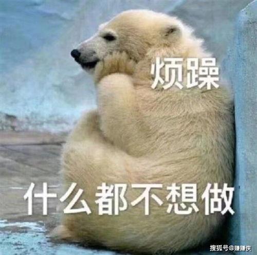 吃瓜群众接瓜图片,吃瓜群众欢乐接瓜瞬间