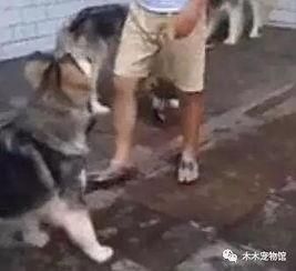 坐下吃瓜小场面,品味生活小确幸  第3张