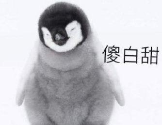 理性吃瓜配图,揭秘娱乐圈幕后真相  第1张