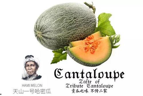 吃瓜论坛推荐  第1张