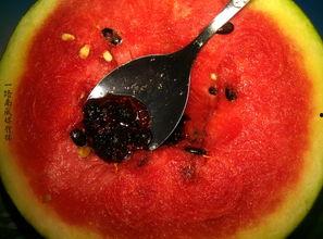 带你吃瓜奇葩炒菜,带你领略“带你吃瓜奇葩炒菜”的独特风味  第3张