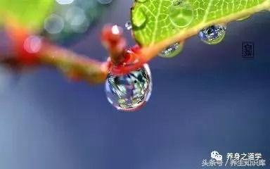 白露吃瓜护心,瓜果飘香，护心养生两不误  第2张