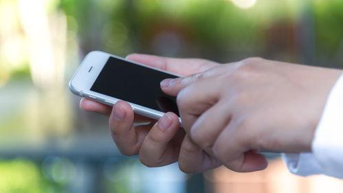 聊天群qq吃瓜  第2张