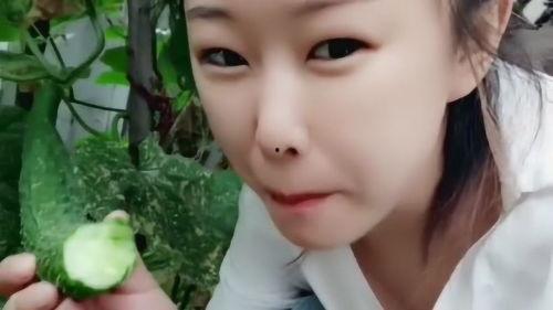 婆婆梦见分瓜吃  第2张