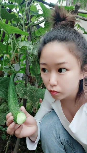 婆婆梦见分瓜吃  第3张