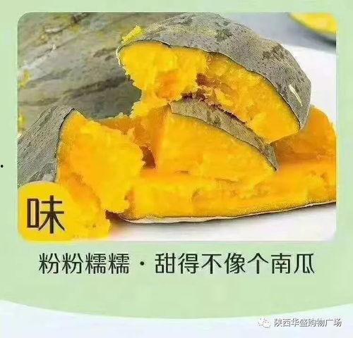 吃瓜不能停新疆  第3张