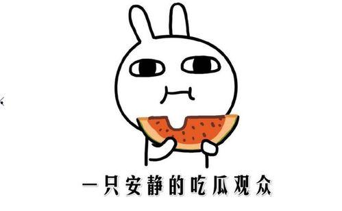 吃瓜啥事件,真相大白！  第1张