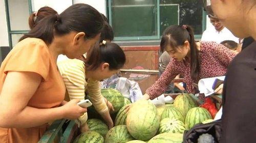 重庆人吃瓜群众,麻辣鲜香里的市井百态 第2张 重庆人吃瓜群众,麻辣鲜香里的市井百态 第2张